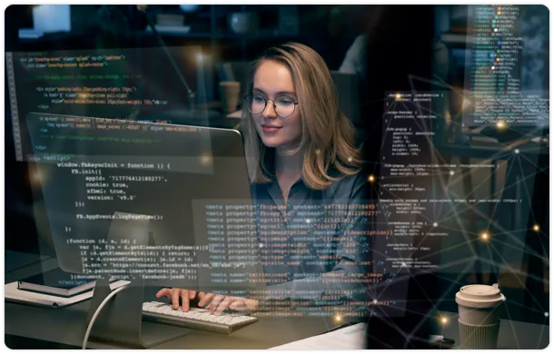 Why Custom Software?